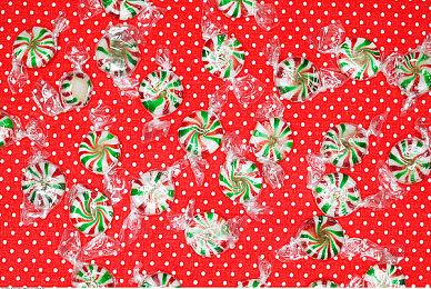 Xbox高层否认自己在暗示预告《神鬼寓言》新作